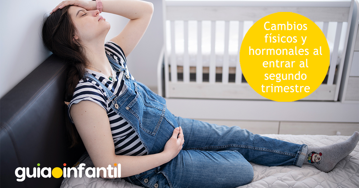 Cambios del segundo trimestre del embarazo