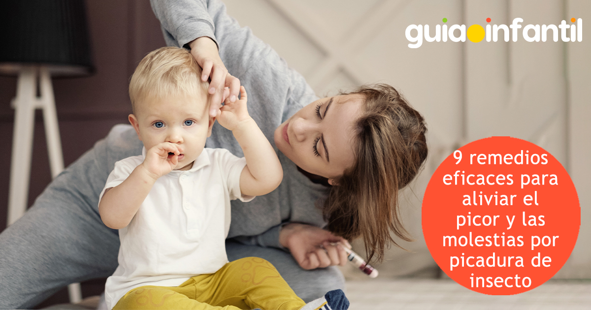 Remedios para las picaduras de insectos
