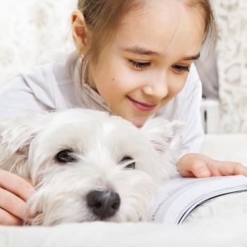 Beneficios de la terapia de lectura con perros para los niños según sus necesidades