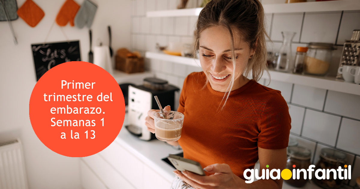 Primer trimestre del embarazo