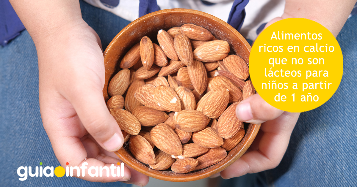 Alimentos ricos en calcio para niños