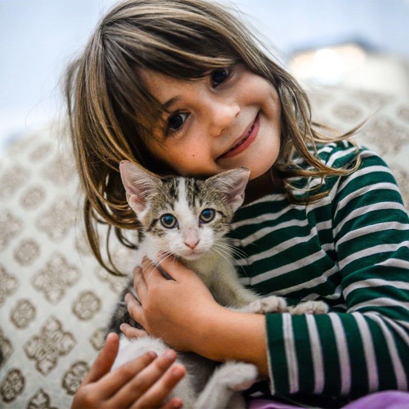 Mascota en casa - Cómo hacer que niños y gatos se lleven bien