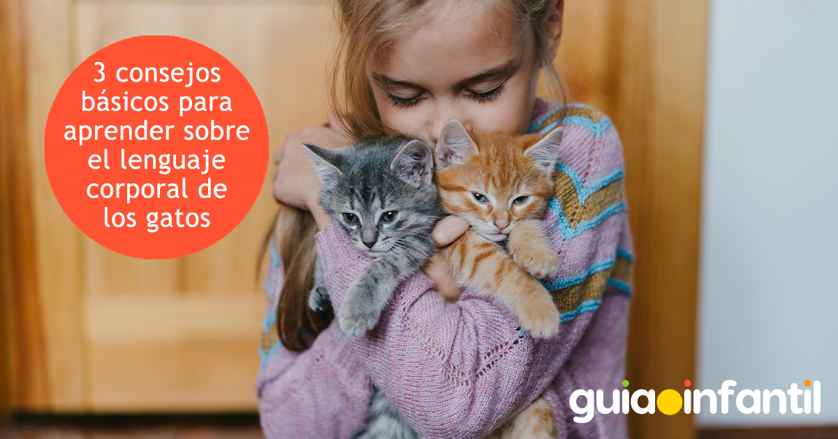 Consejos del lenguaje corporal de los gatos