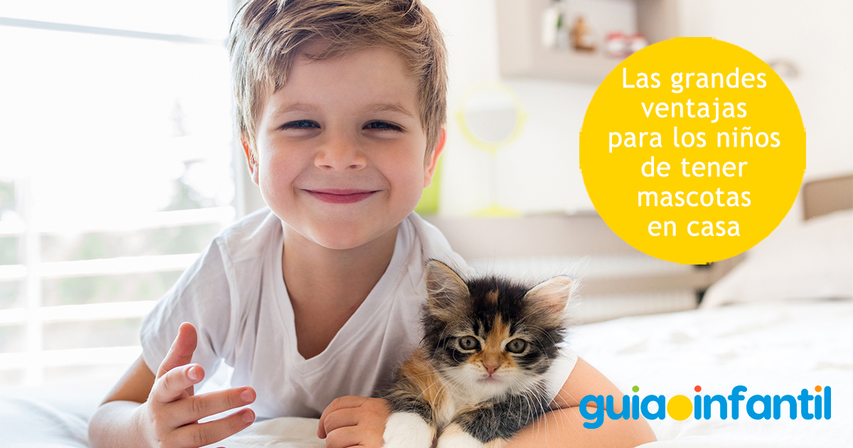 Ventajas de tener mascotas en casa