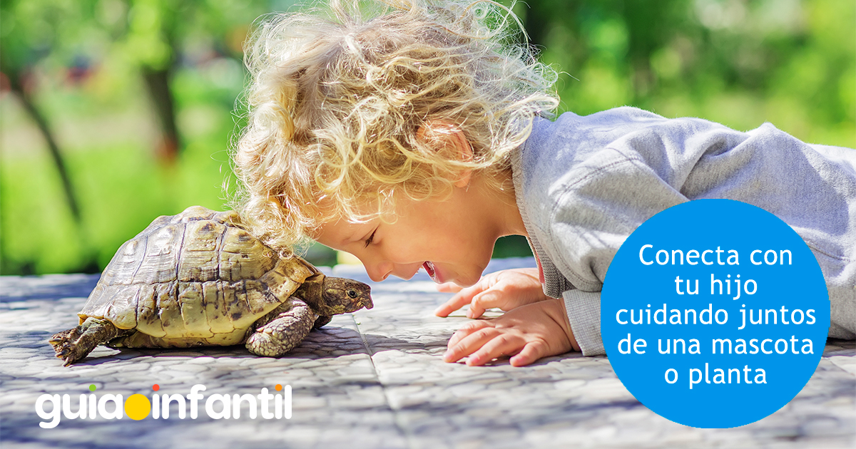 Conecta con tu hijo con tus mascotas