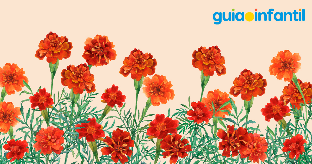 Flores de cempasúchil, tradicionales el Día de Muertos