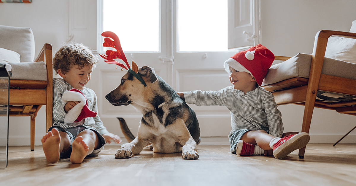 Las frases de Navidad en inglés más básicas