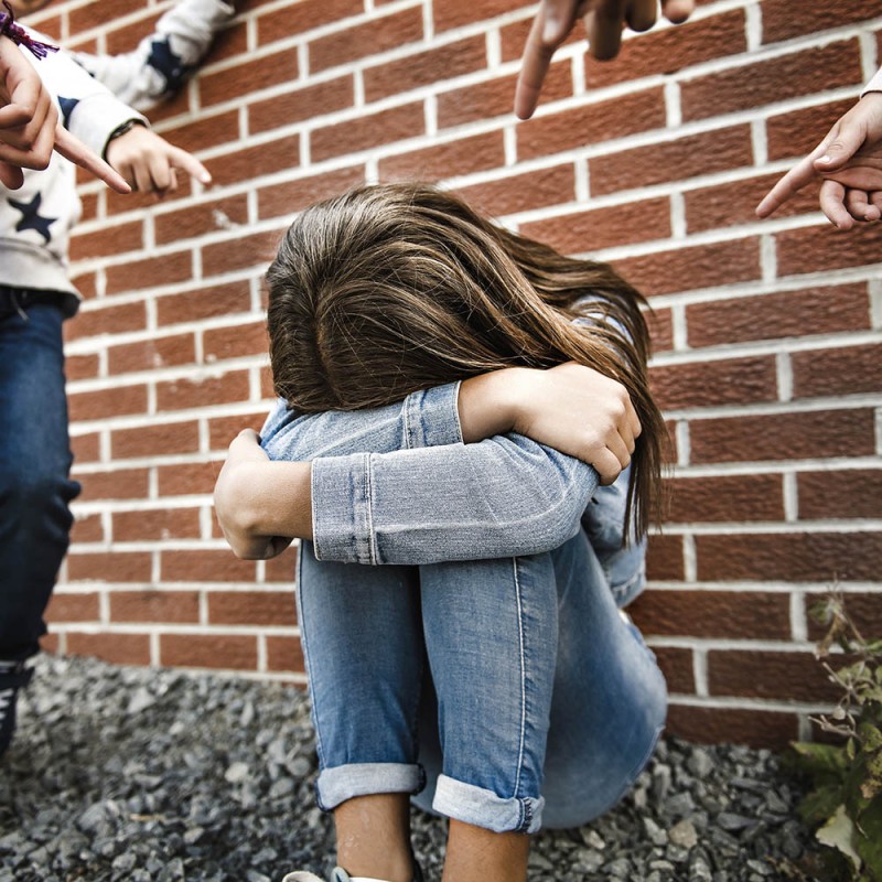 Acoso escolar o bullying - Perfil del agresor y de la víctima