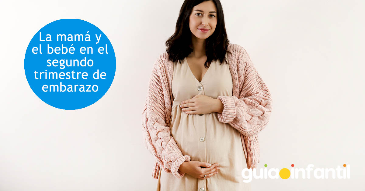 como es el segundo trimestre de embarazo
