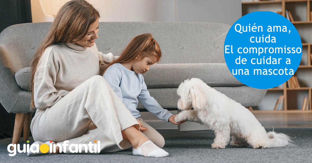 como cuidar a una mascota