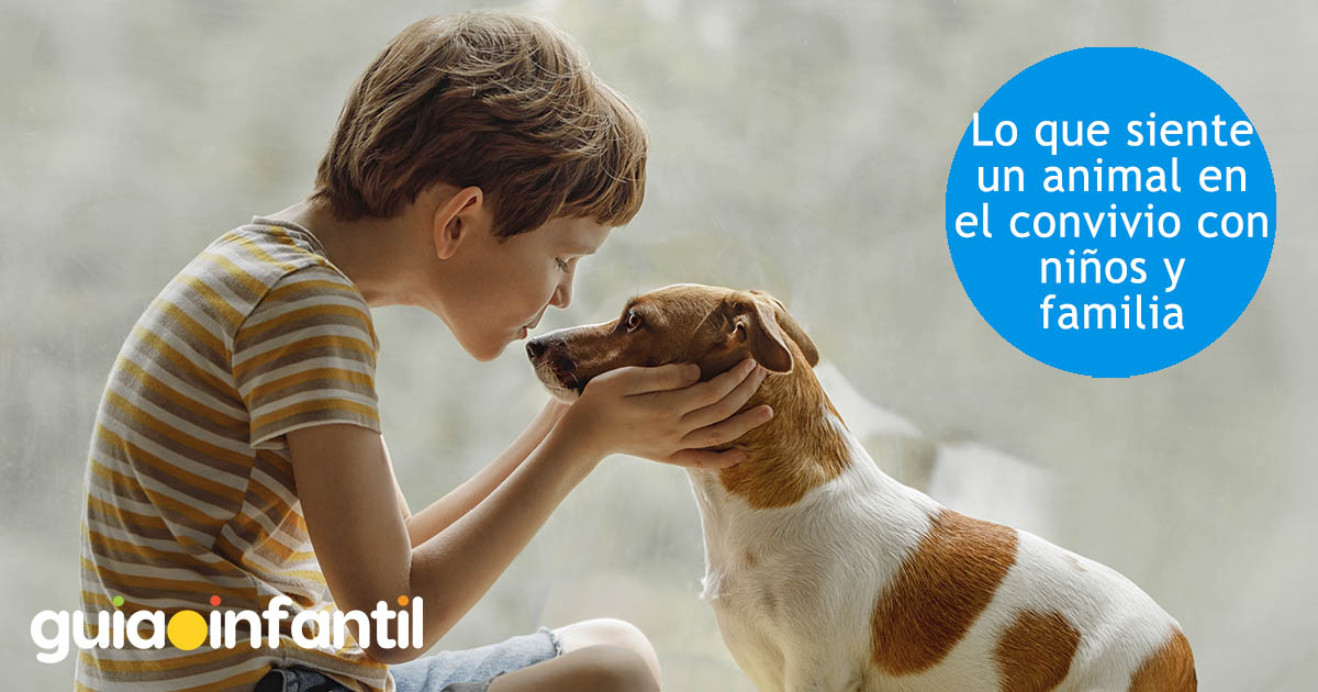 emociones del perro con la familia