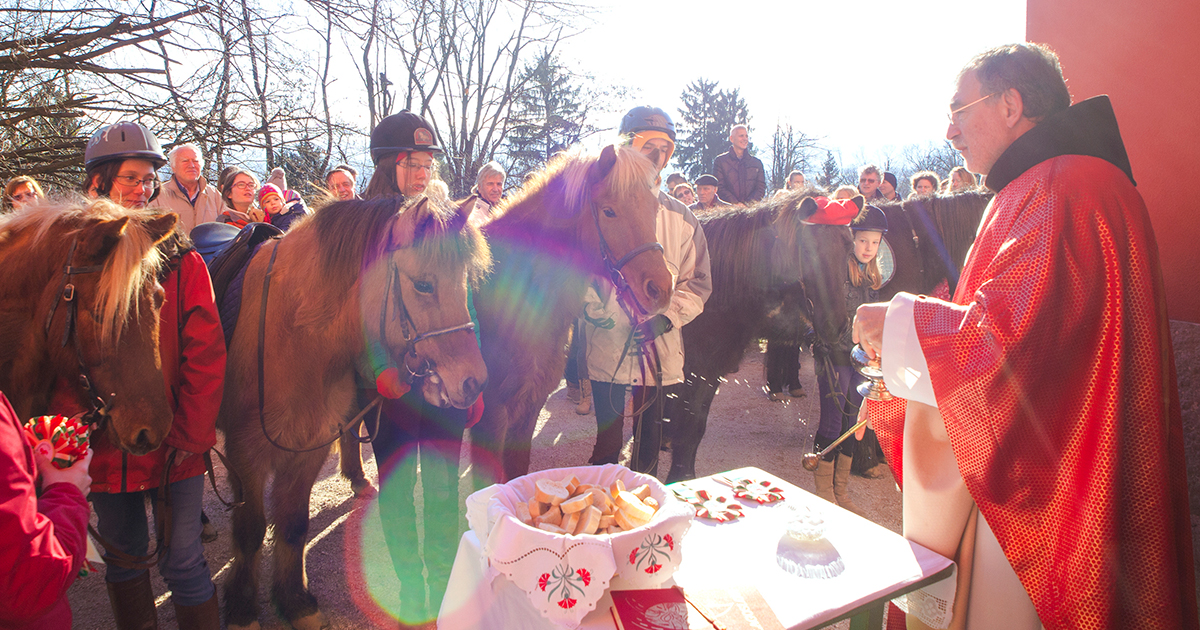 La fiesta de san Antón, patrón de los animales