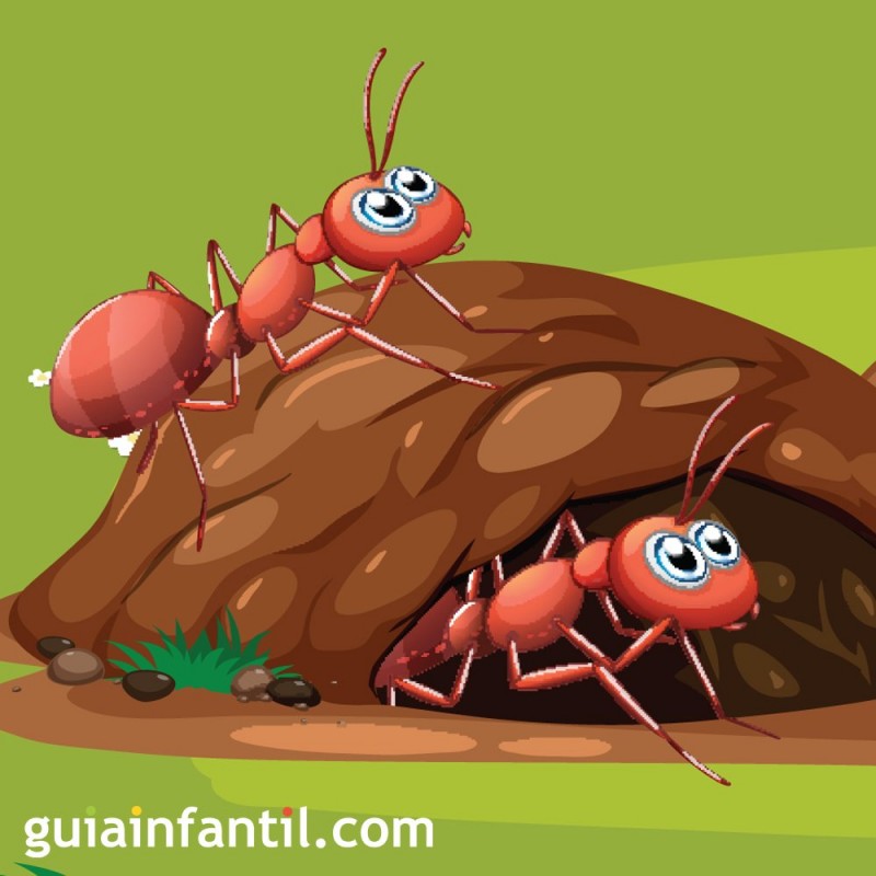 Las hormigas hacen huelga. Cuentos cortos y divertidos para niños
