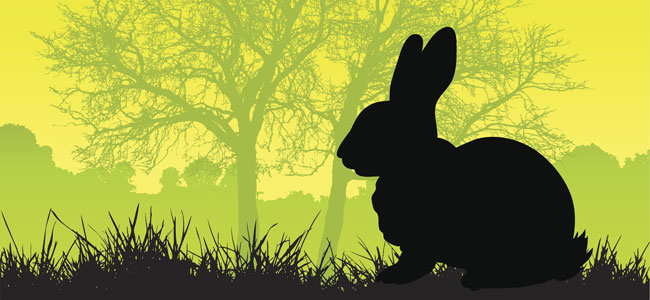 Poema infantil sobre la diversión y el ruido