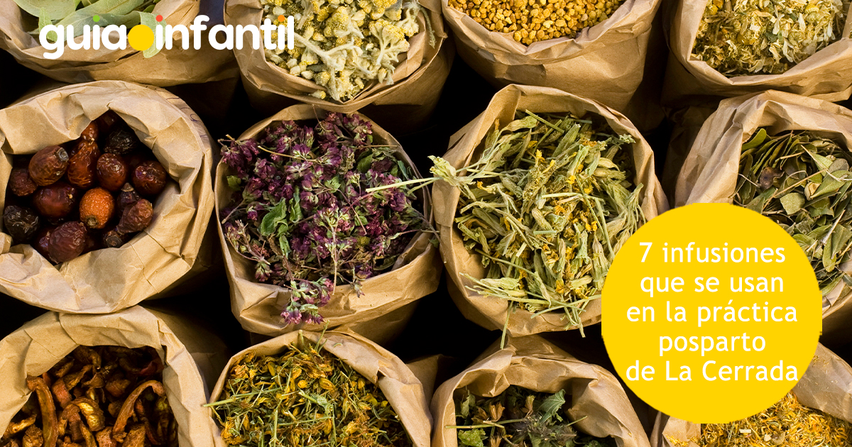 Infusiones que se usan en La Cerrada