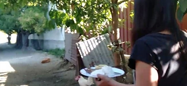 adicción de los videojuegos de los niños