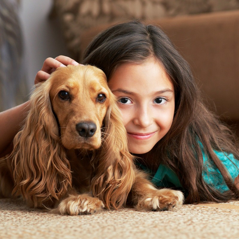 Tips para hacer que tu hijo y tu perro se lleven bien en casa