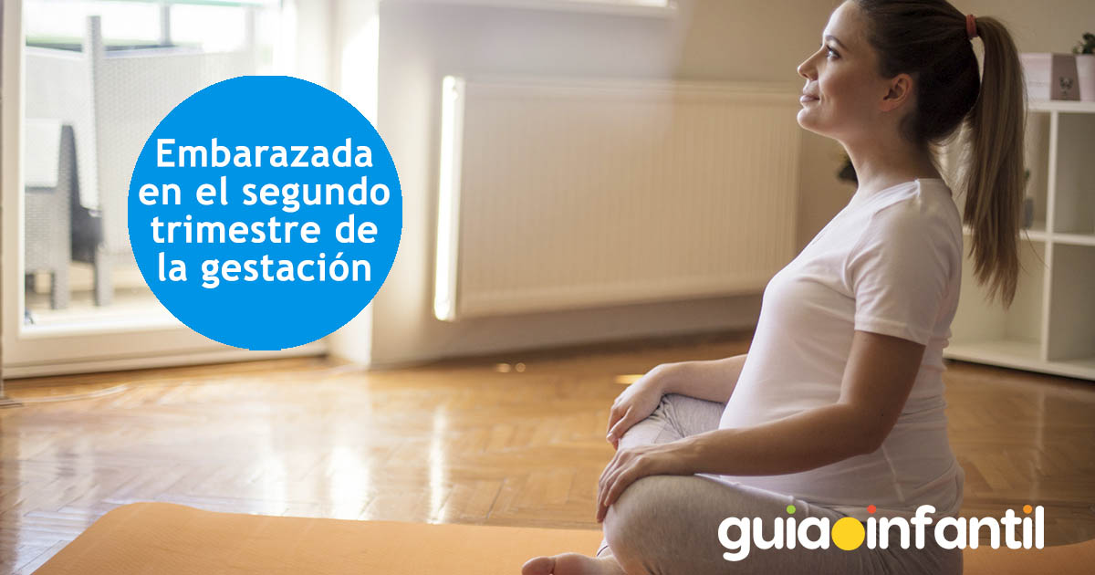 el segundo trimestre del embarazo