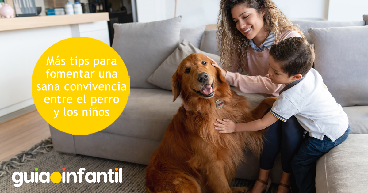 Consejos para la buena convivencia de los niños y su mascota