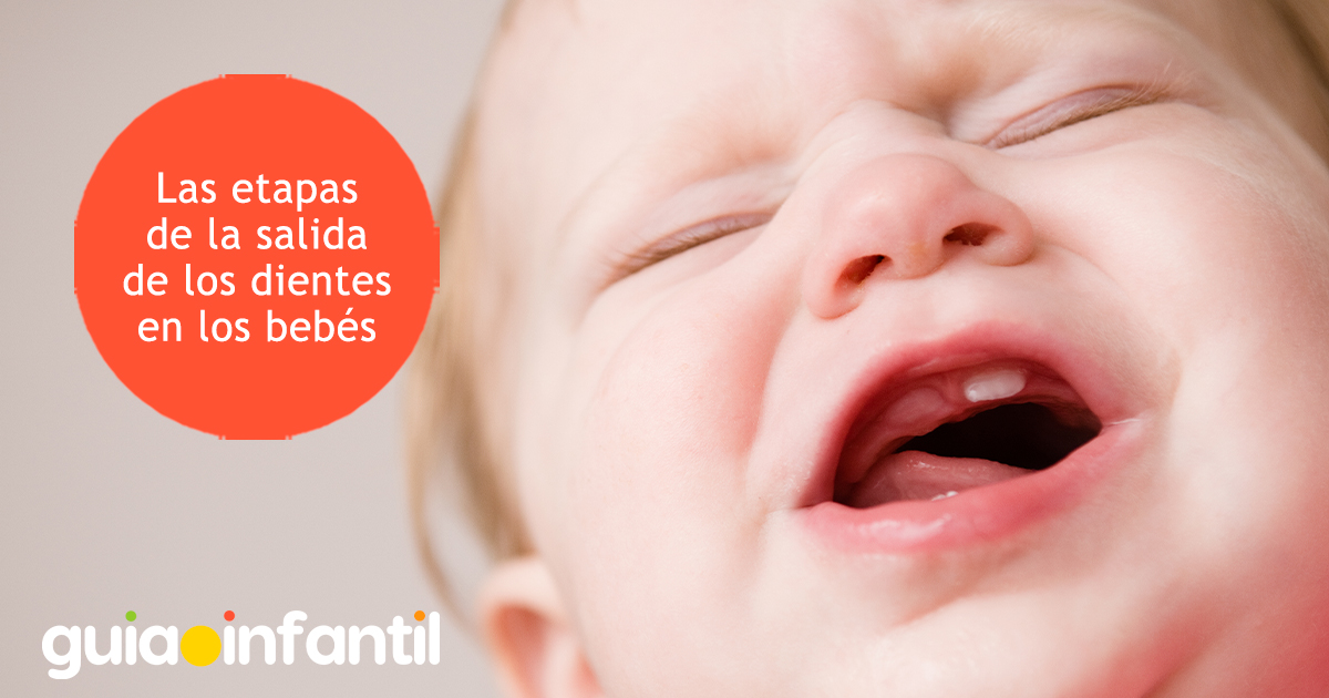 Etapas de la salida de los dientes de los niños