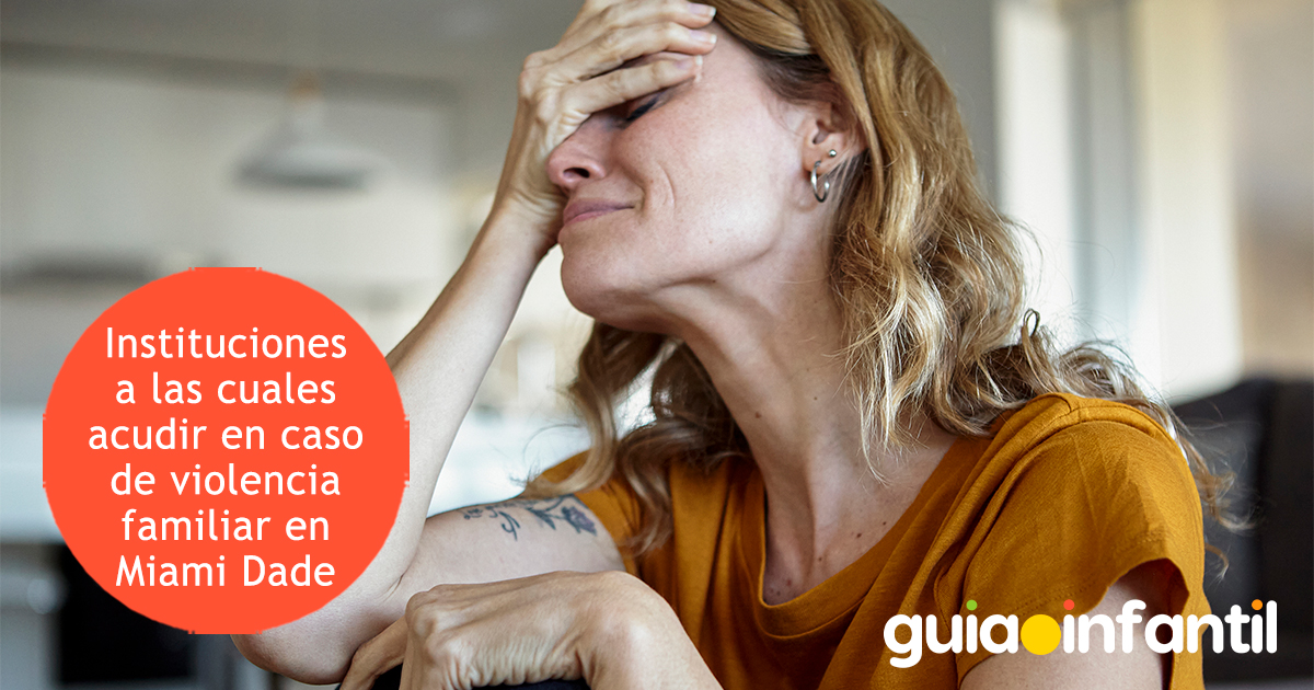 Instituciones contra la violencia en Miami