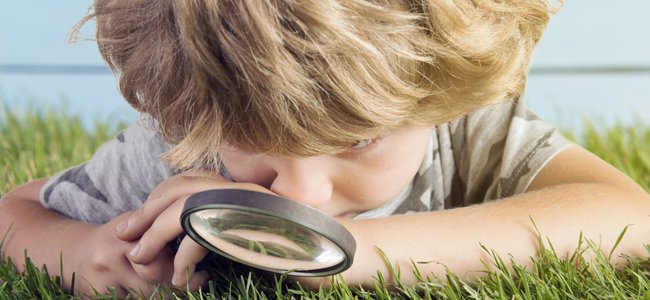 Papel de los profesores y padres para que los alumnos estén motivados