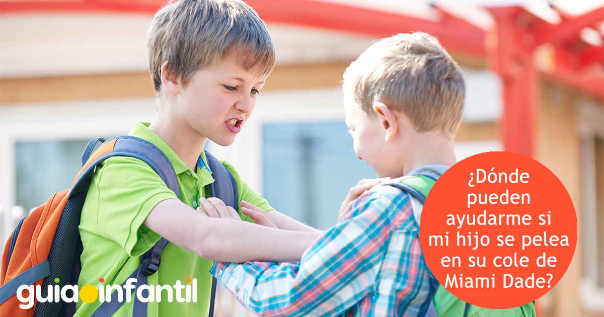 Ayuda con las peleas en Miami Dade