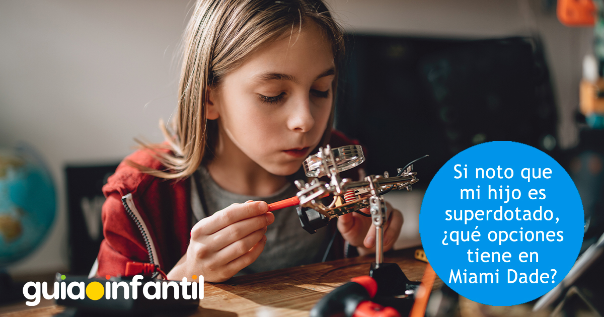 Qué hacer con niños superdotados en Miami Dade