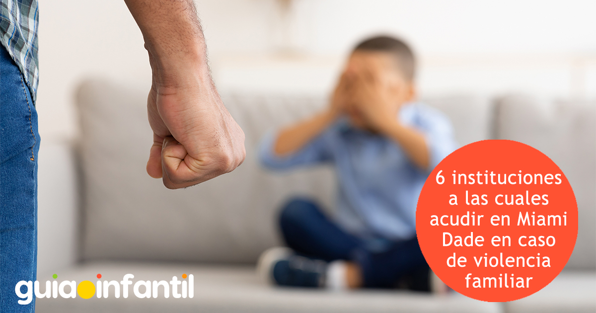 Instituciones en Miami Dade contra la violencia familiar