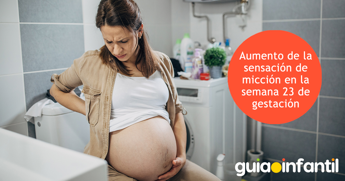 Sensación de micción en la semana 23