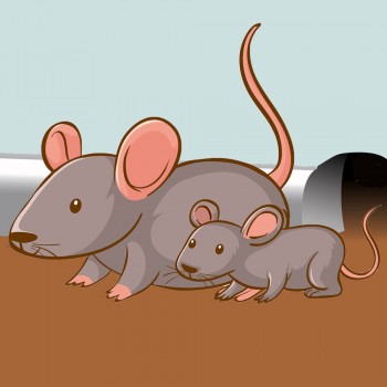 El ratoncito despistado. Poemas infantiles con rima