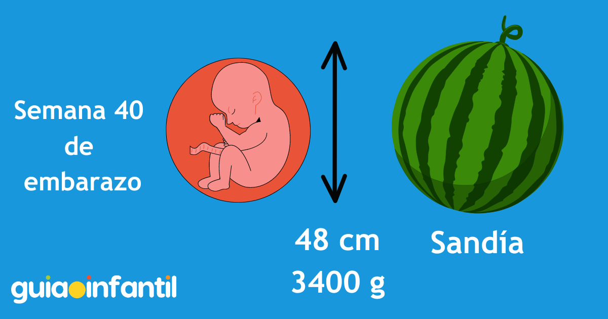 Tamaño bebé 40 semana de embarazo