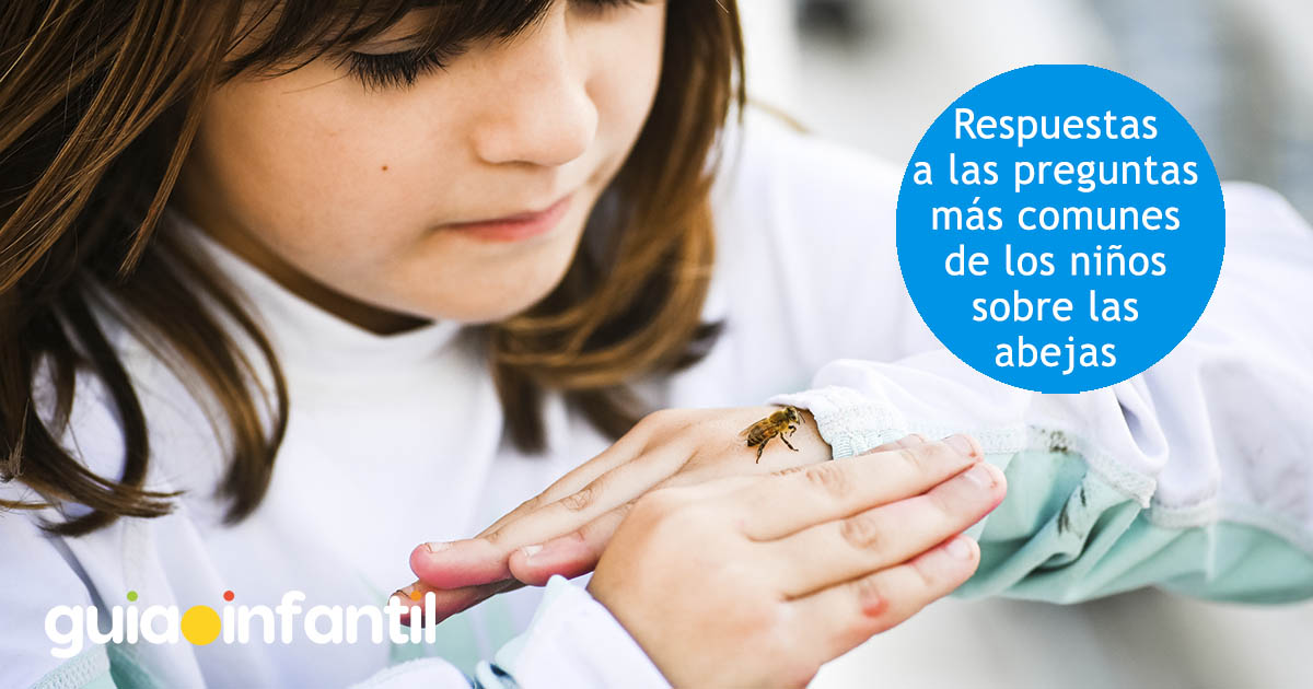 preguntas sobre abejas