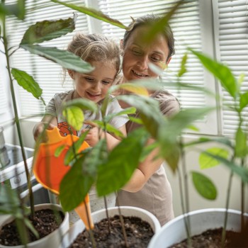 26 frases para niños sobre el respeto al Medio Ambiente para reflexionar