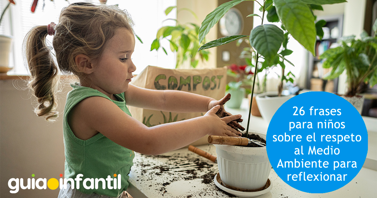 Frases de respeto sobre el Medio Ambiente