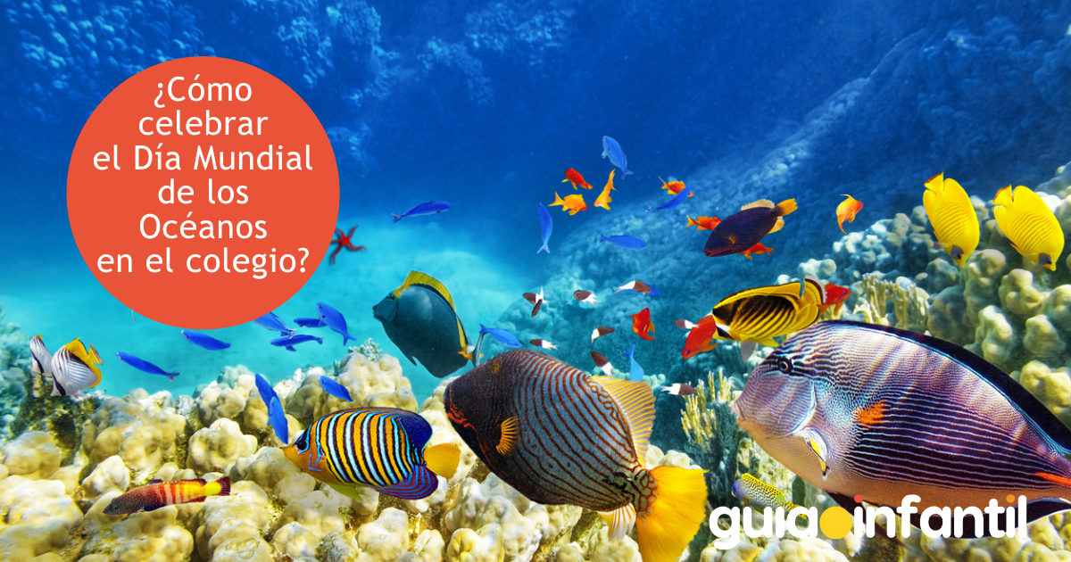 ¿Cómo celebrar el Día Mundial de los Océanos en el colegio?