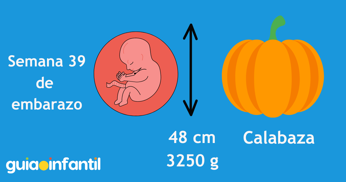 En la semana 39 de embarazo tu bebé ya es tan grande como una calabaza