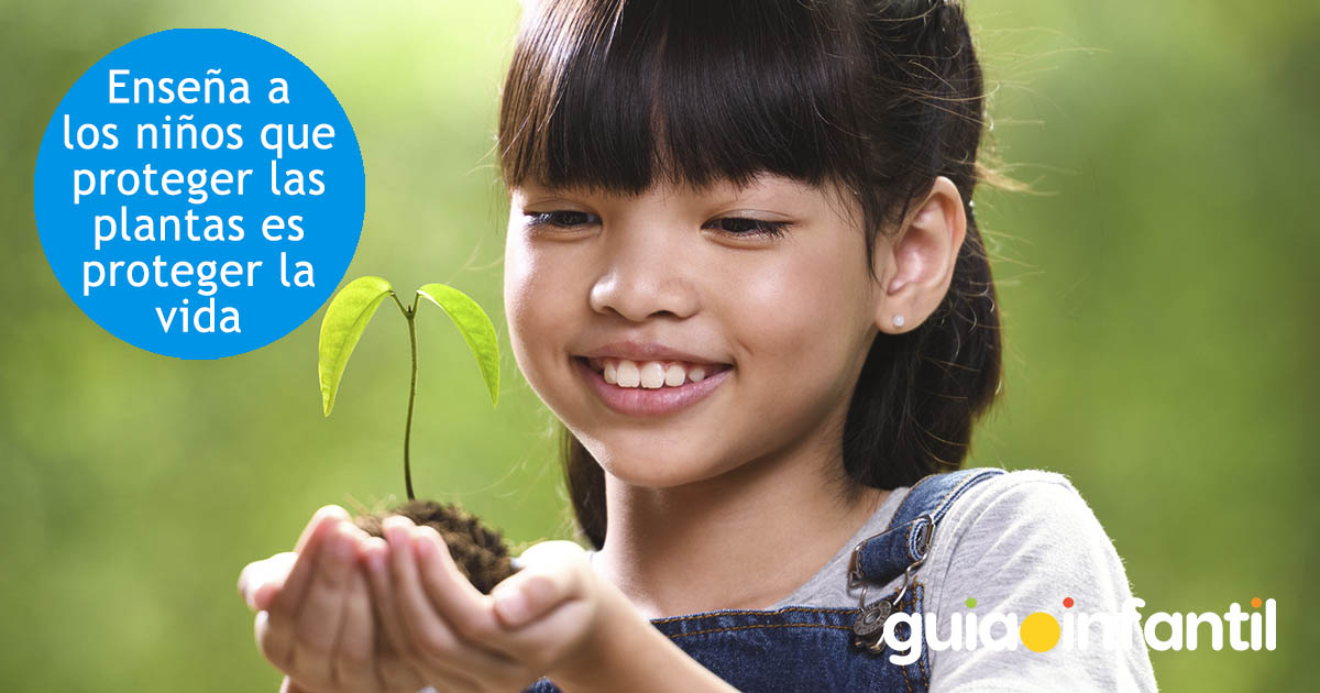proteger las plantas es proteger la vida