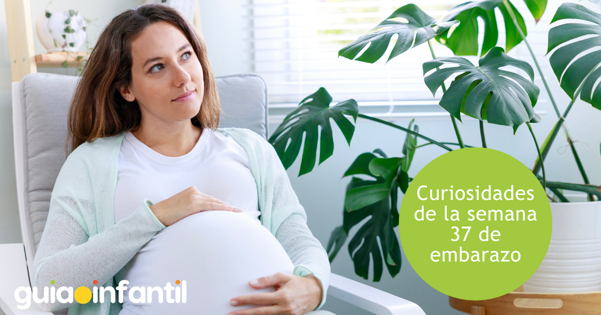 Curiosidades de la semana 37 de embarazo