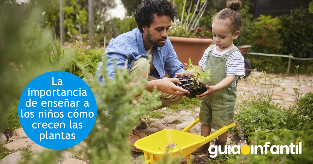 enseñar a los niños cómo crecen las plantas