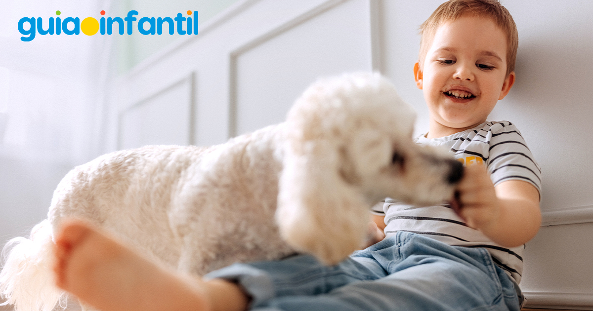 Mensajes por el Día del Perro