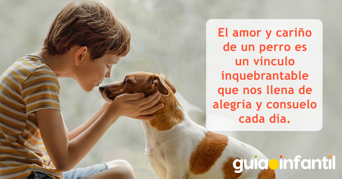 Tarjetas para dedicar a tu mascota