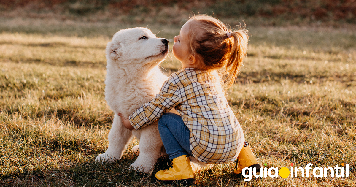 Frases para el perro de los niños