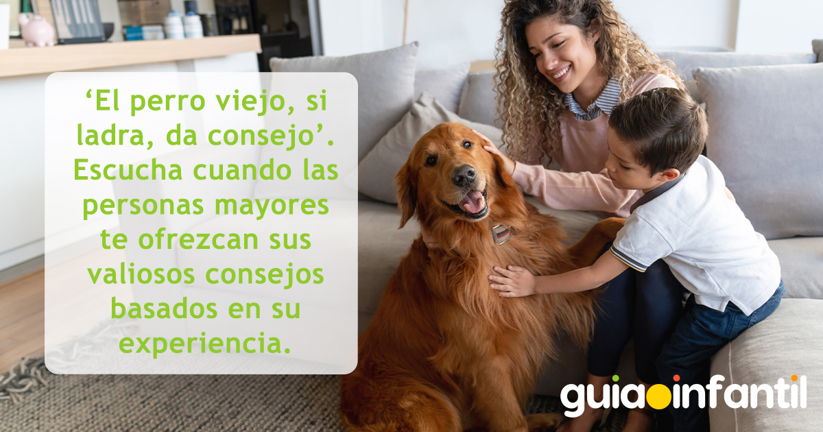 Refranes de perros para niños