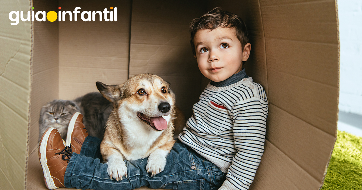 El mejor amigo de tu hijo: su perro