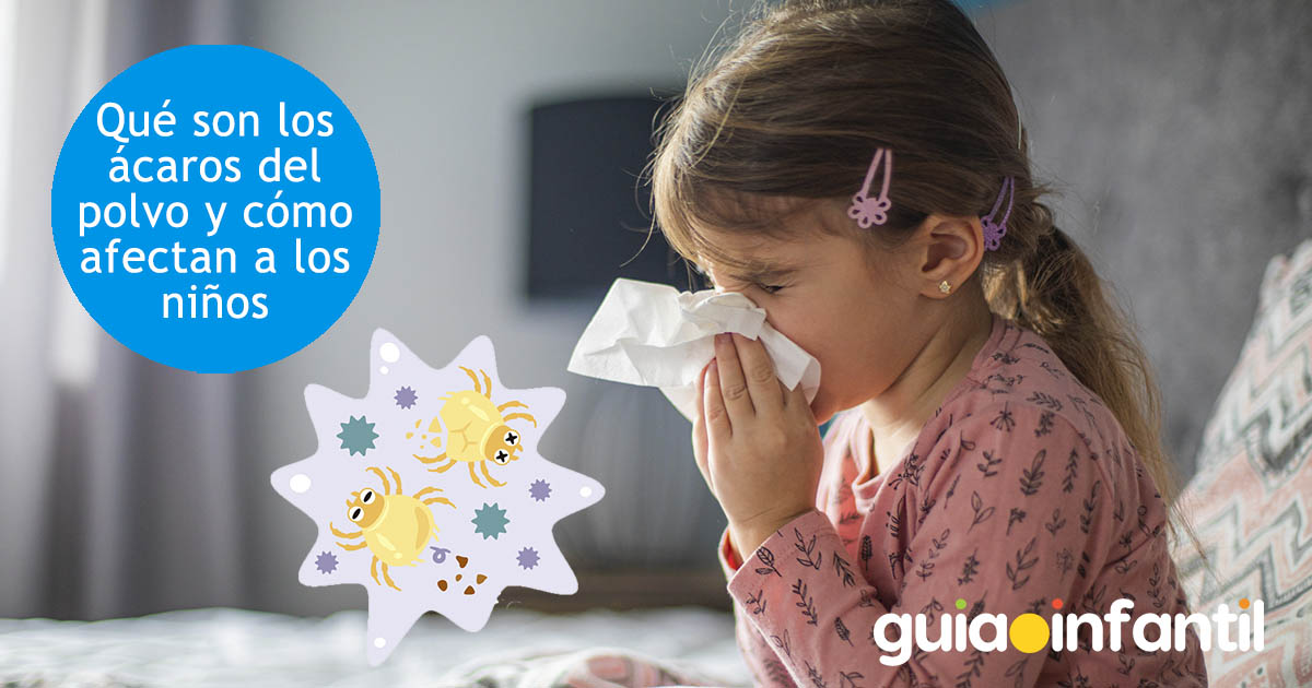 que son ácaros del polvo