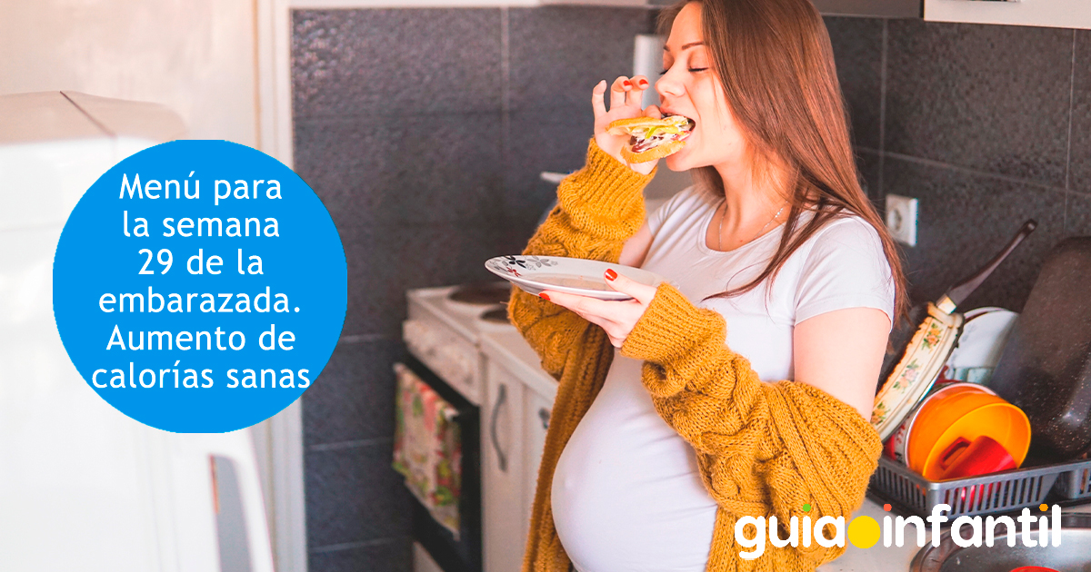 Aporte calórico de la semana 29 de embarazo
