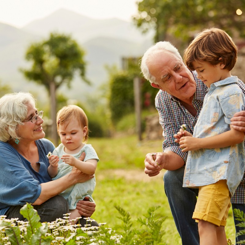 Cartas a los abuelos de amor y agradecimiento - ¡Gracias, abuelos queridos!