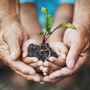 Día de la Pachamama - Frases e imágenes para agradecer a la Madre Tierra