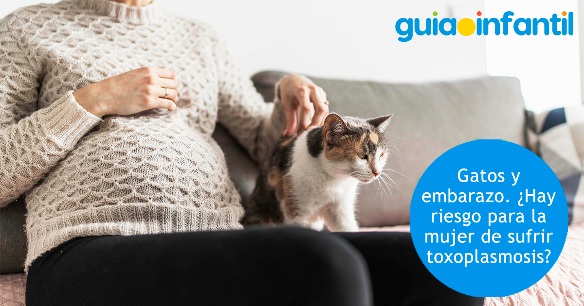 Riesgo de toxoplasmosis en el embarazo